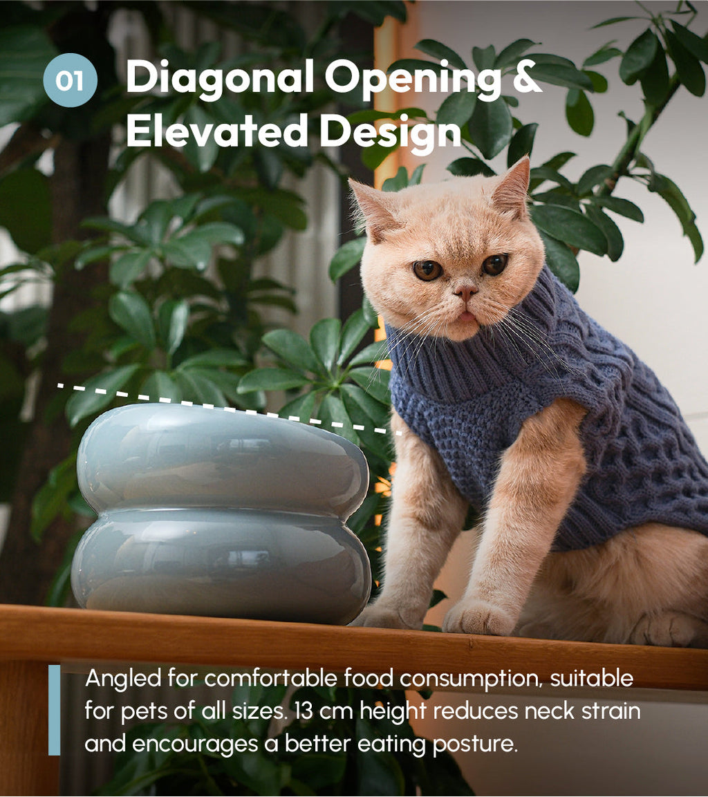 Ceramic Soufflé Pet Bowl - Frozen Blue