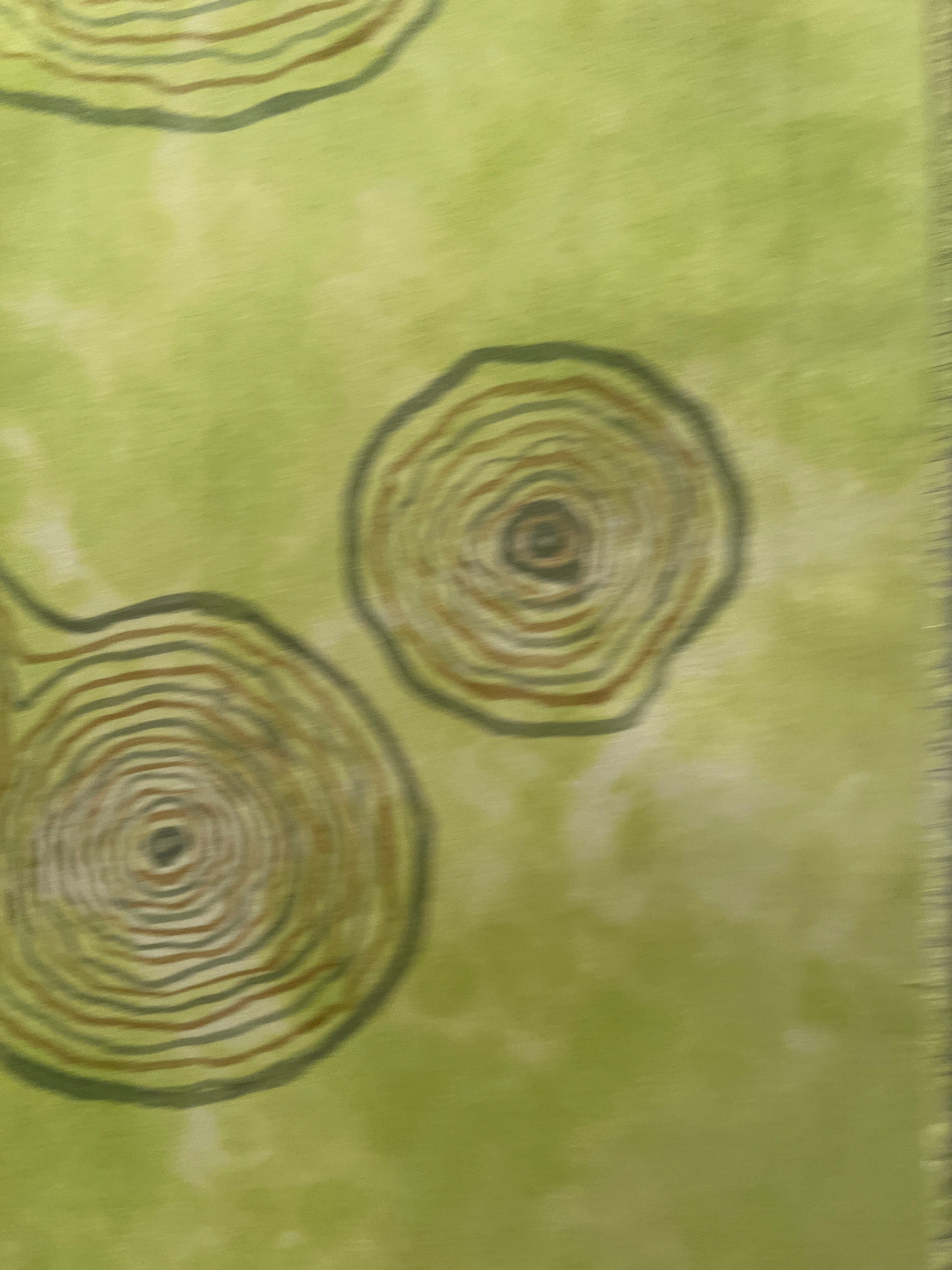 “Spring Birch Life Story” - Painting on Silk - $165