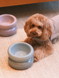 Ceramic Soufflé Pet Bowl - Frozen Blue