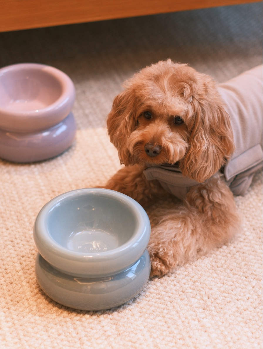 Ceramic Soufflé Pet Bowl - Frozen Blue