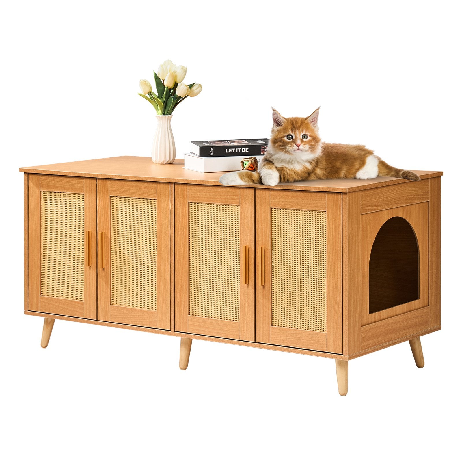 Litter Box Furniture Hidden With Rattan Decorated Doors